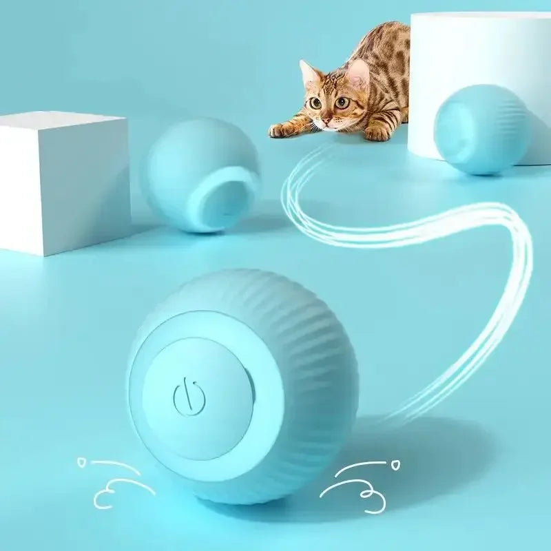 Självrörlig Kattboll